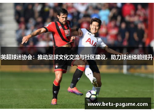 英超球迷协会:推动足球文化交流与社区建设,助力球迷体验提升 英超球迷协会:推动足球文化交流与社区建设,助力球迷体验提升