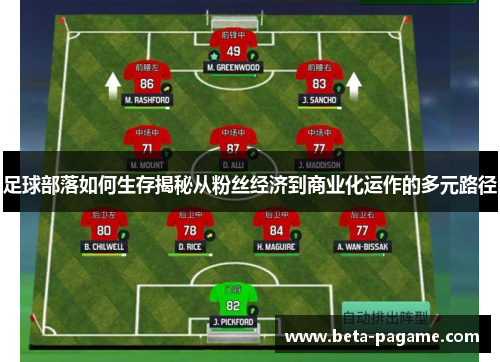 足球部落如何生存揭秘从粉丝经济到商业化运作的多元路径