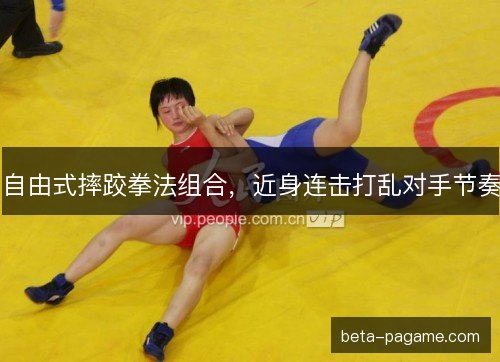 自由式摔跤拳法组合，近身连击打乱对手节奏